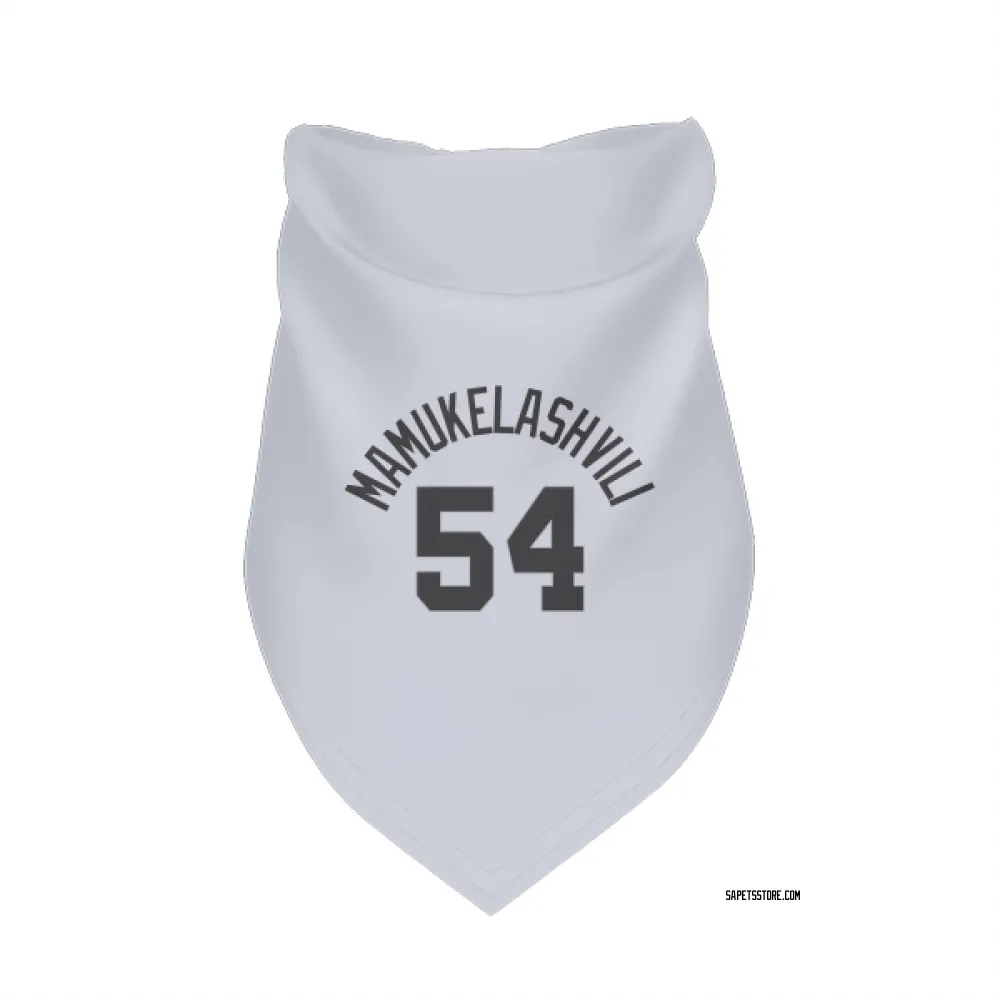 San Antonio Spurs Sandro Mamukelashvili Gray Pet Bandana for Dog & Cat
