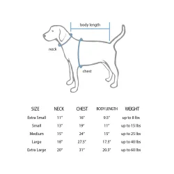 San Antonio Spurs Sandro Mamukelashvili White Pet Jersey for Dog & Cat